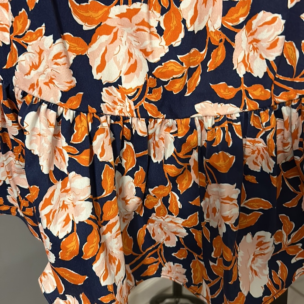 Amur - Picture 5 of 14